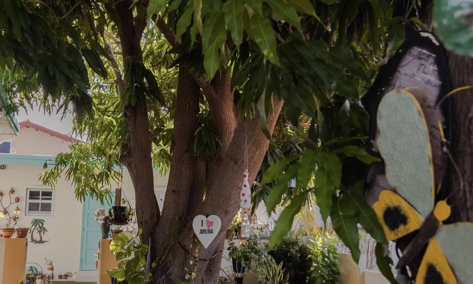 Malmok Apartamento | Cozy studio in the heart of Malmok Aruba