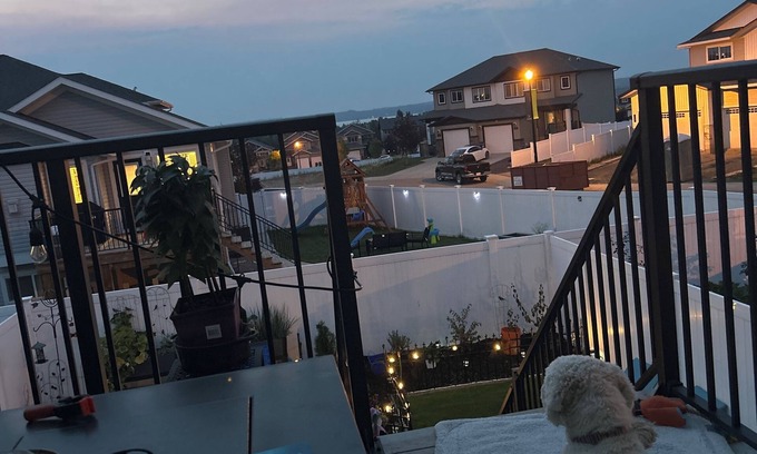 Sylvan Lake Apartamento | Cozy studio, walking trails, beach, lake view