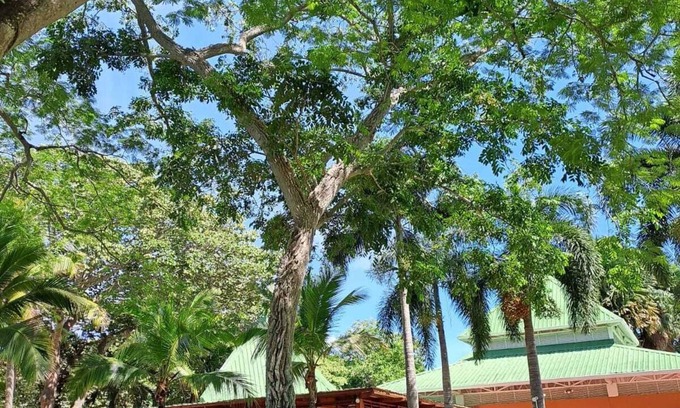 Costa Blanca Casa | Cozy Town House Beach, Golf