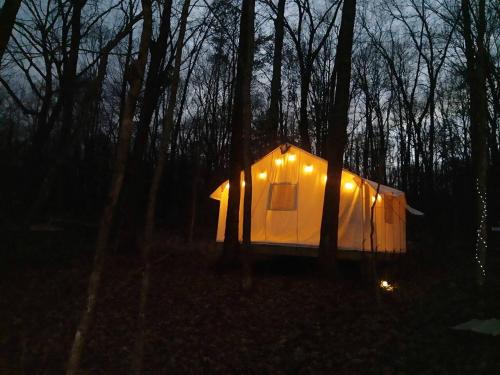 Grandview Otro | Cozy Treehouse Tent with Forest Trails near Waterfalls in Cumberland Plateau, TN