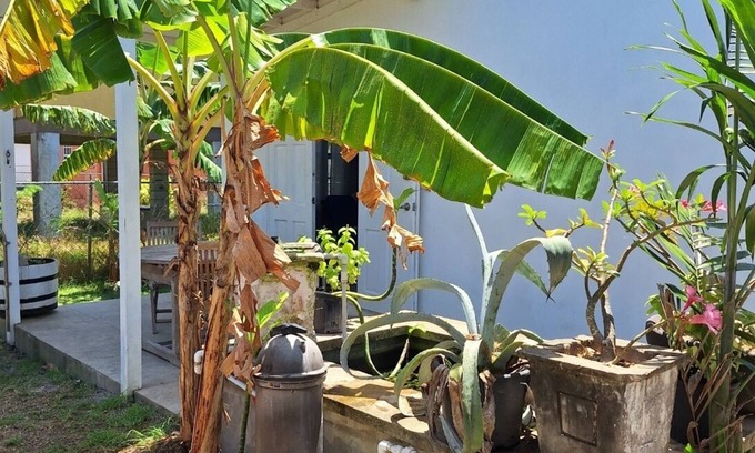 Douglas Apartamento | Cozy Tropical Escape-1 Bedroom