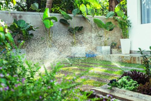 Anuradhapura Cama Y Desayuno | Cozy Vacation Home
