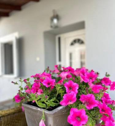 Pangaio Casa | Cozy village apartment