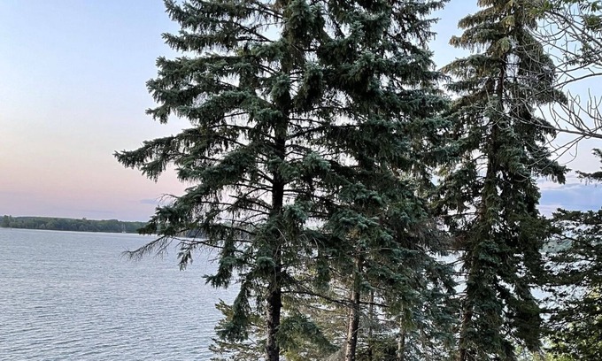 Prince Edward Cabaña | Cozy waterfront cabin with incredible views