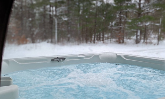 Elmira Cabina | Cozy "Wildwood Lodge" Nestled in a Beautifully Wooded Setting - Pet Friendly