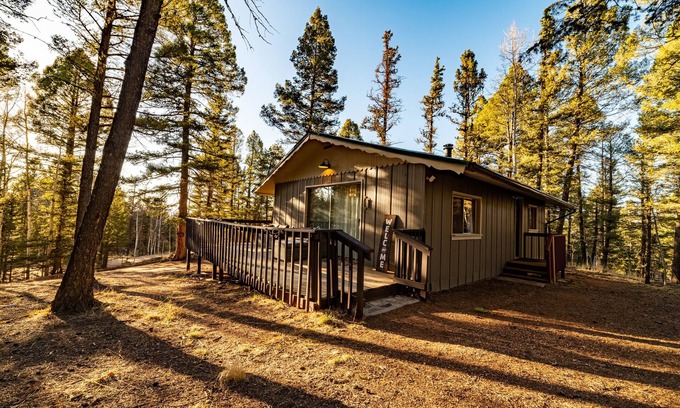 Florissant Cabina | Cozy Winter Cabin! On 1 Acre w Wood Burning Fireplace and Dark Skies!