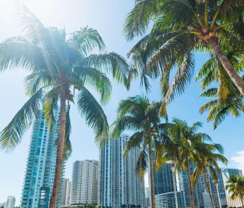Northeast Miami Apartamento | Cozy xxl studio FREE Parking