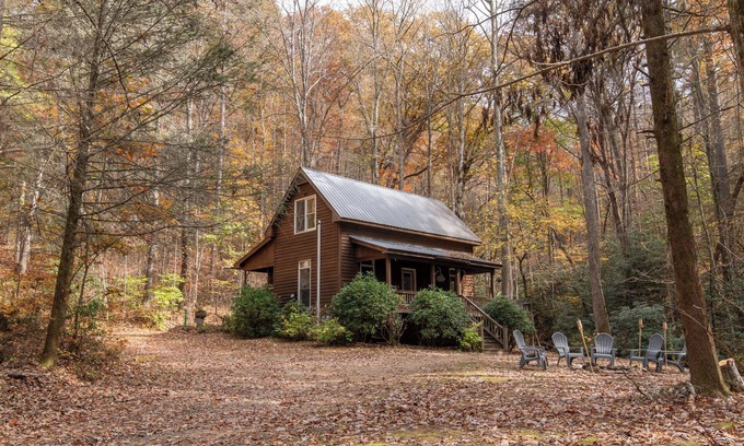 Suches Cabina | Creekside Cabin in National Forest! -Dog Friendly -Walk to Waterfall