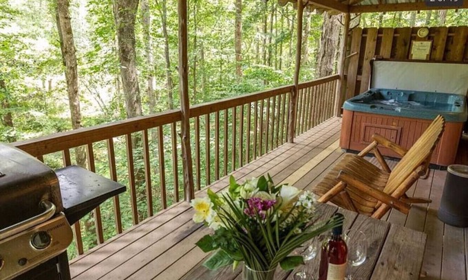Dahlonega Cabina | Creekside Cabin w/ Hot Tub/Near Wineries/Sleeps 4