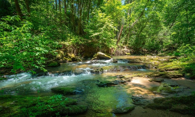 Cleveland Casa | Creekside Oasis – Pet-Friendly Cottage on Town Creek
