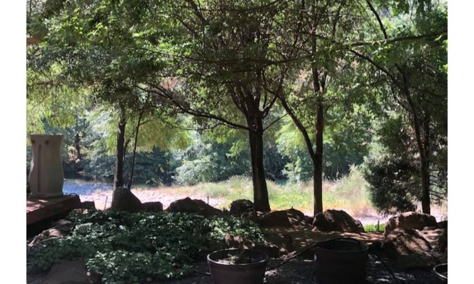 Chico Cama Y Desayuno | Creekside View w/patio, nature, hot tub, steam shower. Stay and enjoy the quiet
