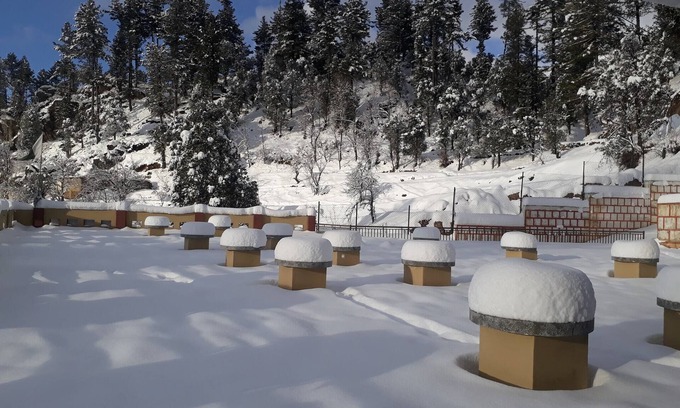 Malam Jabba Hotel | Crown Palace Hotel And Restaurant