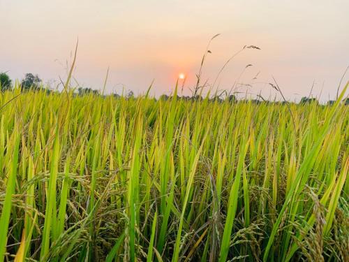 Cu Chi Casa | Cu Chi Boutique Countryside