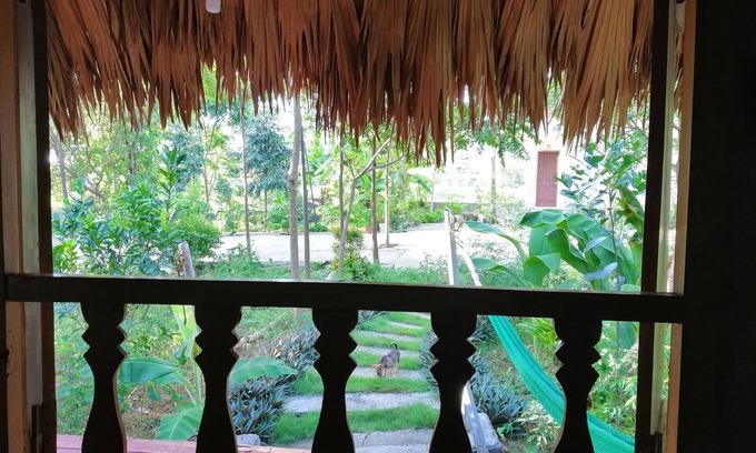 Nho Quan Casa | Cuc Phuong Bungalow