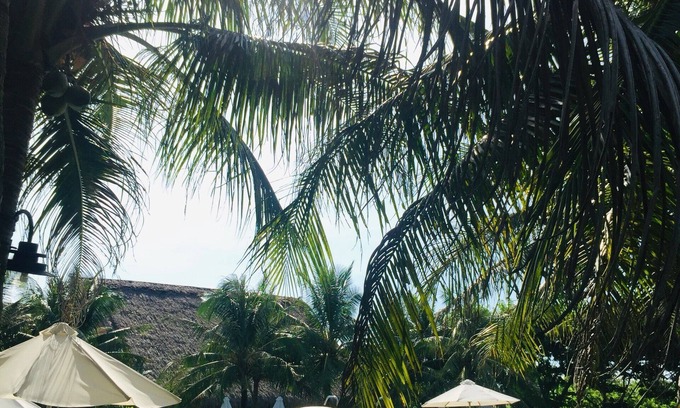 Nho Quan Hotel | Cuc Phuong Resort