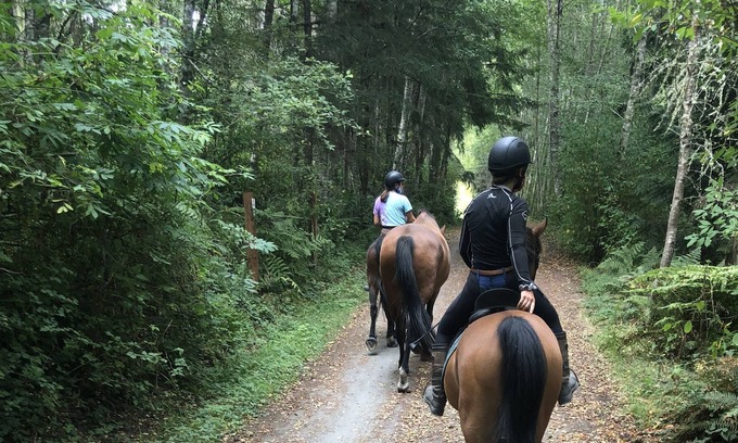 Adelma Beach Otro | Cute cottage on a pastoral horse farm in a peaceful valley surrounded by nature.