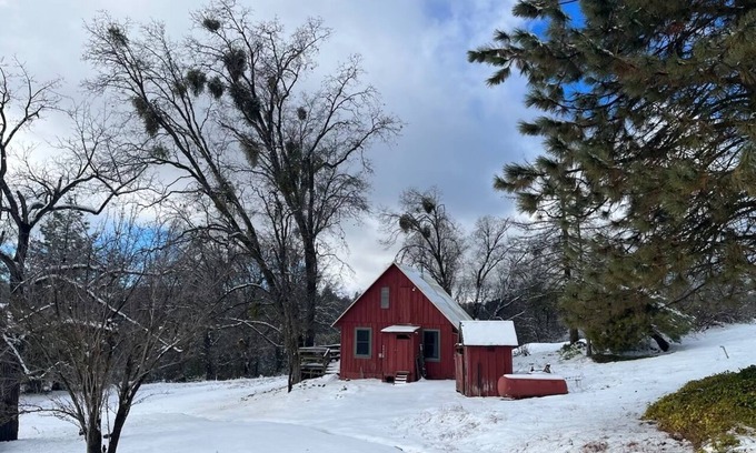 Dunlap Cabina | Cute, Cozy, Private, Little Red Cabin right outside Kings Canyon National Park