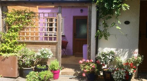 Glastonbury Apartamento | Cute self-contained guest room with ensuite and private decked porch in Glastonbury