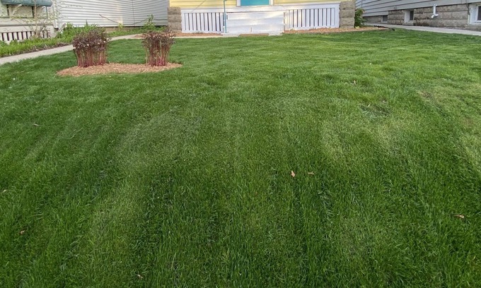 Bay View Casa | Cute, yellow 2BR Bungalow w/free garage and Wifi