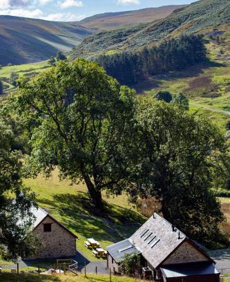 Rhayader Casa | Cwm Clyd - Carthouse