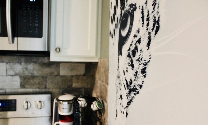 Leon Valley Casa | CYC Big Cat HideAway