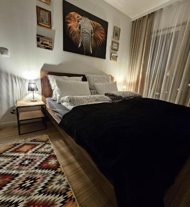 Czestochowa Apartamento | Czarny Słoń - elegancki apartament z klimatem