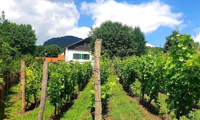 Libesice Cabaña | Dům uprostřed vinic - Haus 44