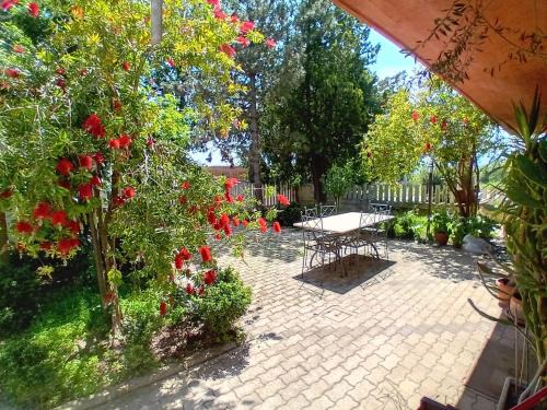 Nereto Apartamento | DA GIANNì