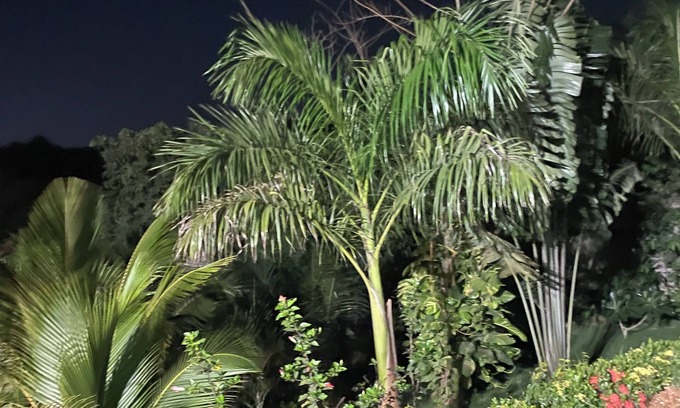 Aburi Hotel | Da Palm inn