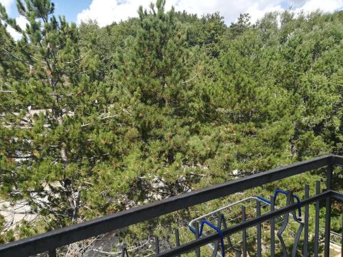 Pieve Santo Stefano Apartamento | Da Santina