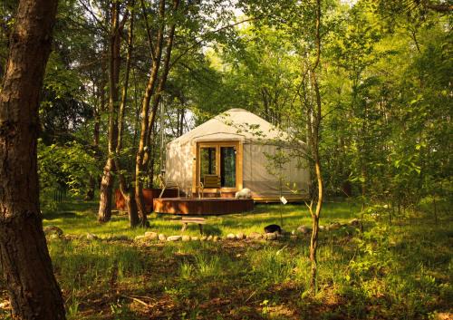 Dobiegniew Otro | Dacza Puchacza Glamping