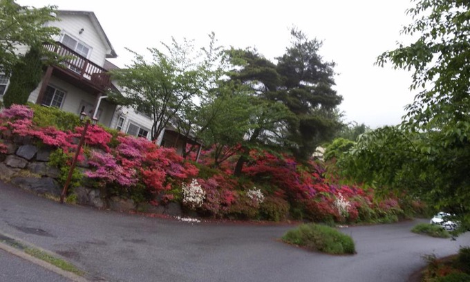 Boryeong Casa | Daecheon Ocean Hill Pension