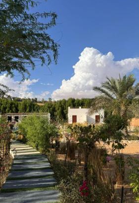 Liwa Complejo | Damas Resort
