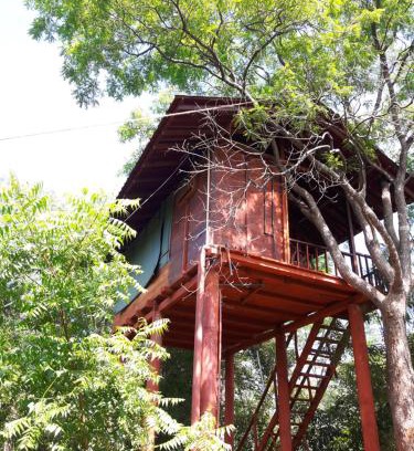 Dambulla Cabina | Dambulla Tree House