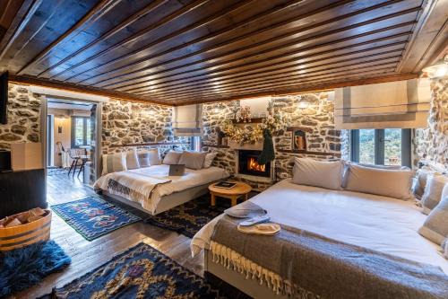 Metsovo Apartamento | Dandy Villas Metsovo-Mezzo-Down Town-Up 5