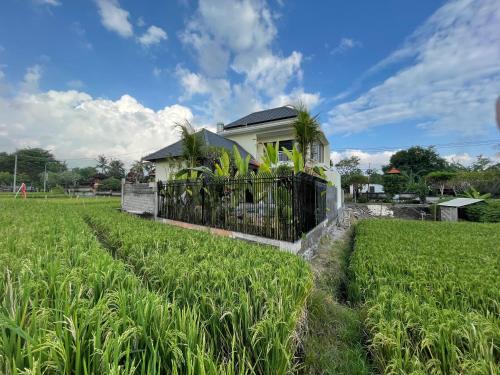 Babakan Villa | Danniel Luxury Villa Pererenan