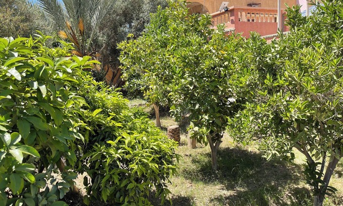 Ahmar Laglalcha Cama Y Desayuno | Dar Mona– Your Tranquil Escape Near Taroudant Just 3km from Taroudant center