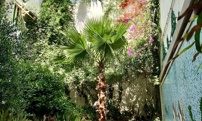 La Marsa Casa | Dar Souad