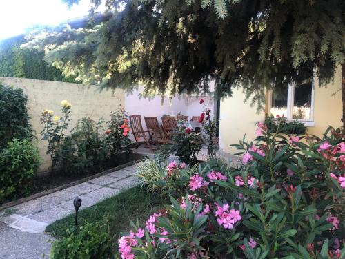 Breitenbrunn Casa | Das kleine Haus