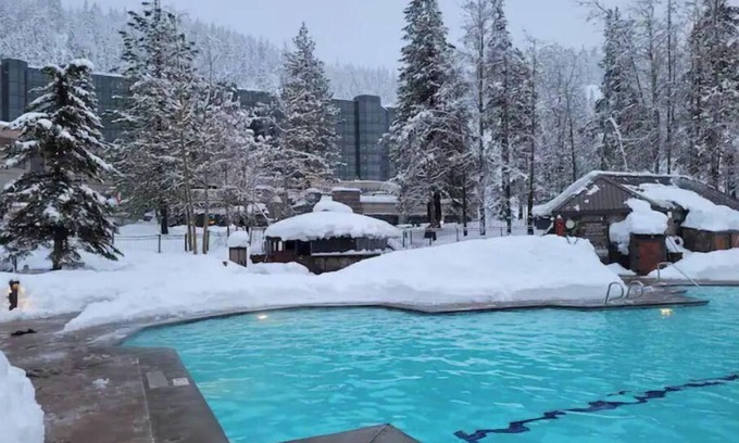 Olympic Valley Complejo | Dav’s Plush Ski-in/Ski-out Studio Condotel with Forest View @ 400 Squaw Creek Rd