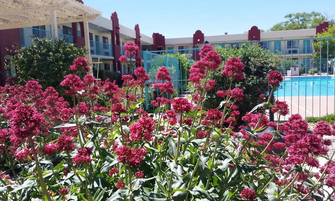 Southside Hotel | Days Inn by Wyndham Santa Fe New Mexico