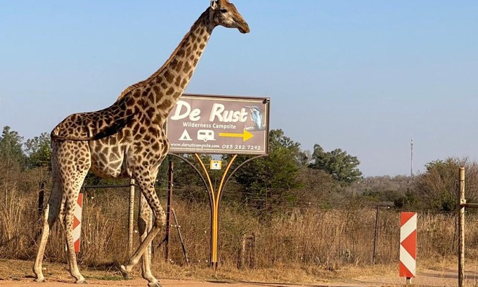 Hammanskraal Cabina | De Rust Campsite