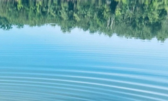 Dandridge Casa | DearBear Landing in the Smokies - Lakefront - Fish-Kayak - near Dollywood !