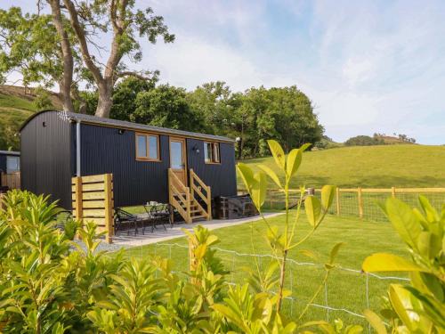 Oswestry Casa | Defaid Cymreig