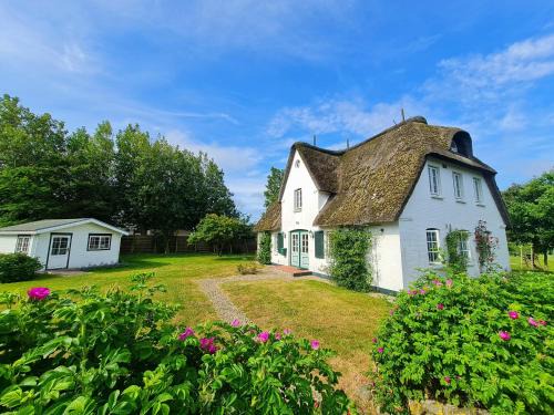 Großdunsum Apartamento | Deichhof Whg 7