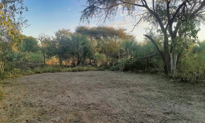 Maun Alquiler De RV | Delightful campsite in nature between Maun & Moremi