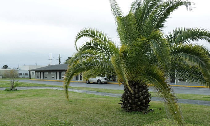 Lake Charles Hotel | Deluxe Inn Motel