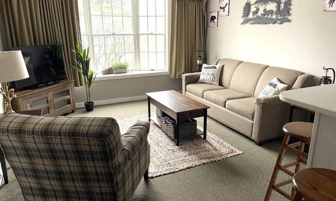 Hancock Apartamento | Deluxe Ski On Off 1BR Suite Sleeps 4 on Jiminy Mtn