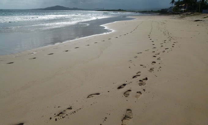 Puerto Villamil Complejo | Suite de lujo en la playa en Puerto Villamil, Isla Isabela (lea primero el anuncio)