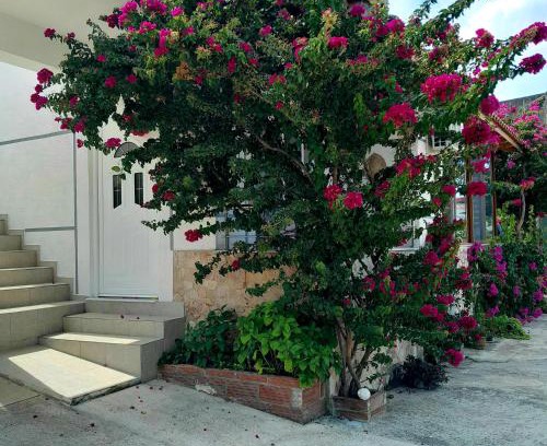 Qafe e Gjashtes Casa | Denni’s Home